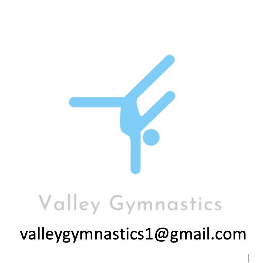 Valley Gymnastics Logo
