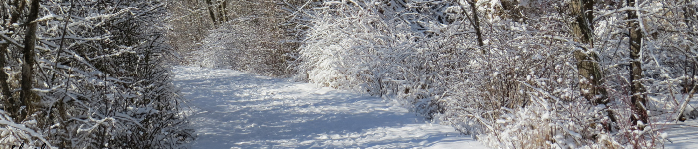 Skiing, Snowshoeing, and Sledding